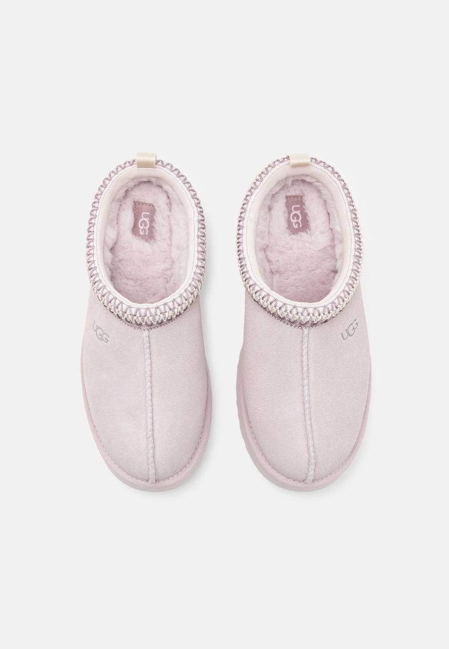 Sneaker Tazz